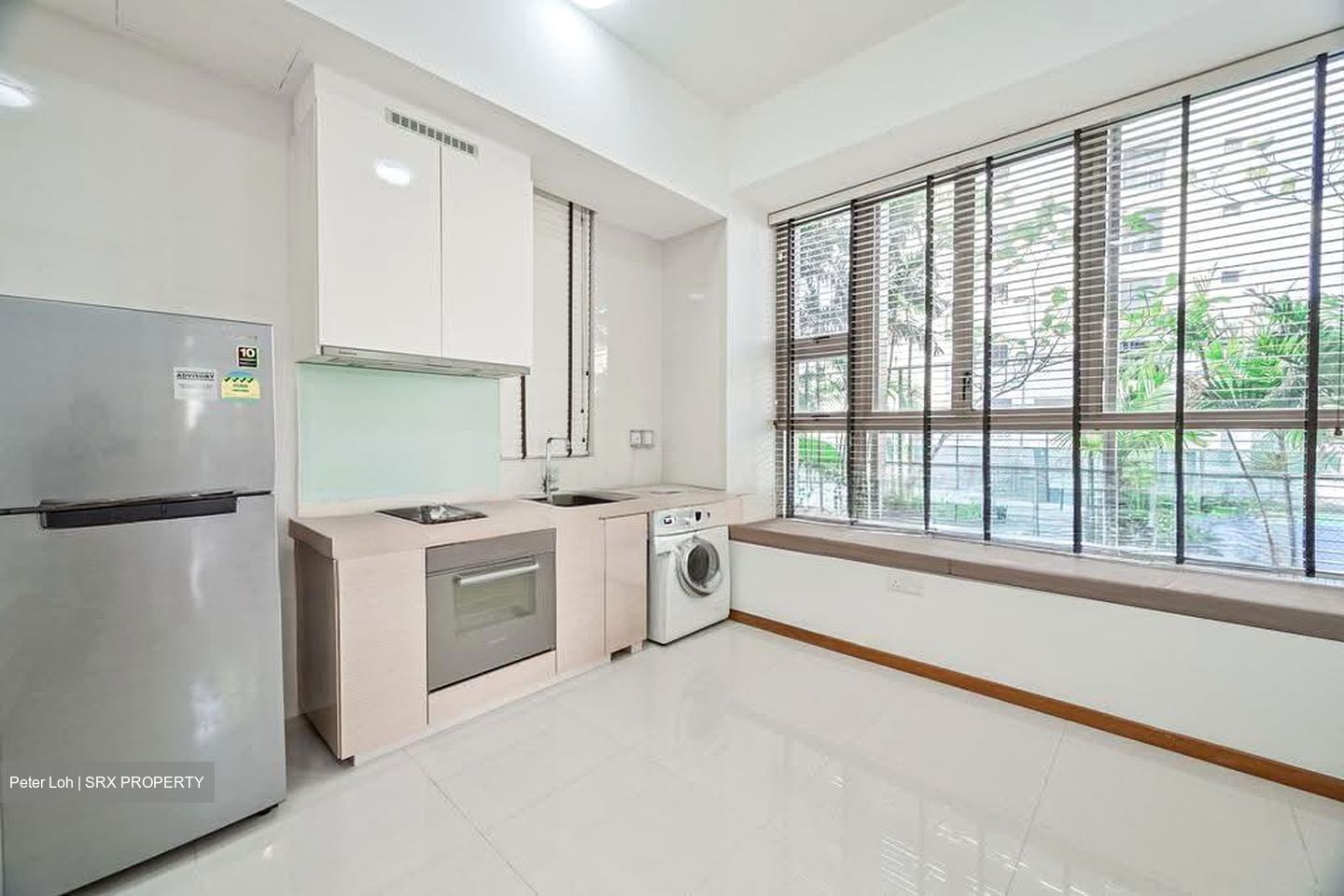 The Waterline (D19), Condominium #636915281